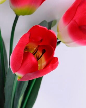 Artificial Flower 22*51CM Tulip*7 GS-05520030-R2