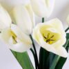 Artificial Flower 22*51CM Tulip*7 GS-05520030-W1