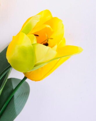 Artificial Flower 22*51CM Tulip*7 GS-05520030-Y1