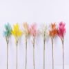Artificial Flower 16*72CM Wheat Spray GS-27920005
