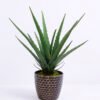 Artificial Plant 30*22*34CM Aloe In Pot GS-06920024