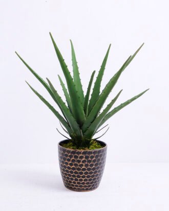 Artificial Plant 30*22*34CM Aloe In Pot GS-06920024