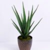 Artificial Plant 30*28*45CM Aloe In Pot GS-06920025 1 Artificial Plant 30*28*45CM Aloe In Pot GS-06920025