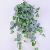 Artificial Plant 48*741CM Boston?Ivy Hanging GS-37120004