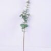 Artificial Plant 15*75CM Eucalyptus Spray GS-27920009