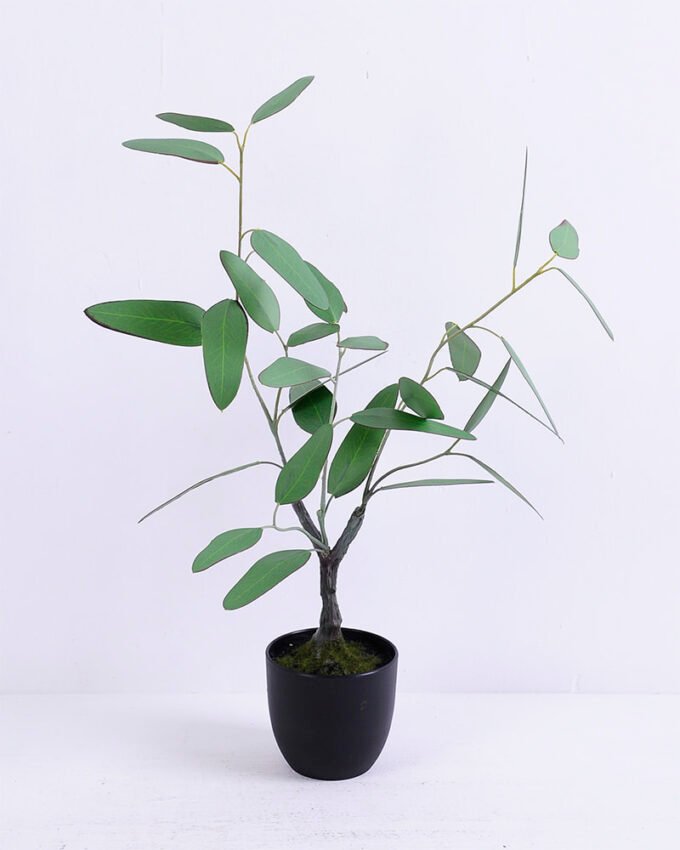 Artificial Plant 31*25*50CM Eucalyptus in plastic pot/lvs30 GS-15420010 1 Artificial Plant 31*25*50CM Eucalyptus in plastic pot/lvs30 GS-15420010