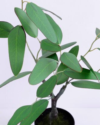 Artificial Plant 31*25*50CM Eucalyptus in plastic pot/lvs30 GS-15420010 Potted Flowers&Plants YeahFlower is one of Chinese leading OEM manufacturers and exporters , supplying the silk flowers, wholesale artificial trees Artificial Plant 31*25*50CM Eucalyptus in plastic pot/lvs30 GS-15420010