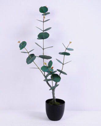 Artificial Plant 29*19*58CM Eucalyptus in plastic pot/lvs34 GS-15420008 Potted Flowers&Plants YeahFlower is one of Chinese leading OEM manufacturers and exporters , supplying the silk flowers, wholesale artificial trees Artificial Plant 29*19*58CM Eucalyptus in plastic pot/lvs34 GS-15420008