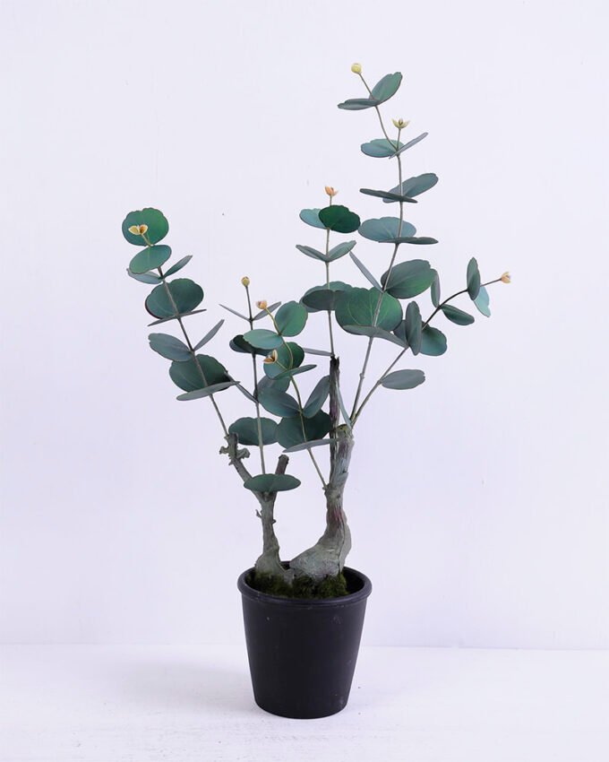 Artificial Plant 33*15*61CM Eucalyptus in plastic pot/lvs53 GS-15420007 1 Artificial Plant 33*15*61CM Eucalyptus in plastic pot/lvs53 GS-15420007