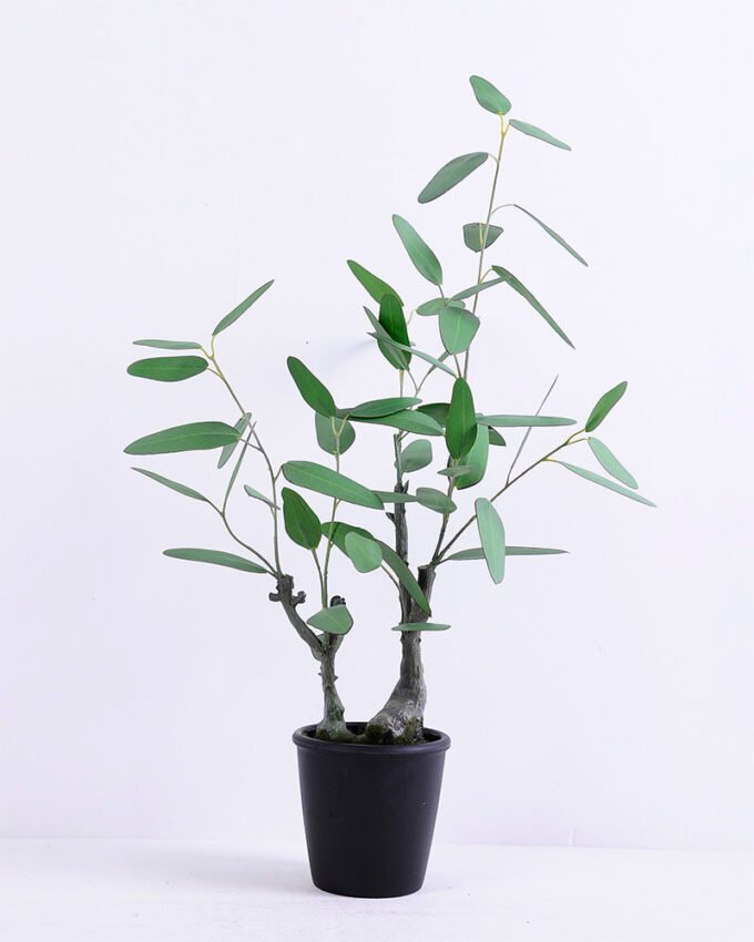 Artificial Plant 42*31*65CM Eucalyptus in plastic pot/lvs53 GS-15420009 1 Artificial Plant 42*31*65CM Eucalyptus in plastic pot/lvs53 GS-15420009