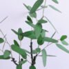 Artificial Plant 42*31*65CM Eucalyptus in plastic pot/lvs53 GS-15420009 2 Artificial Plant 42*31*65CM Eucalyptus in plastic pot/lvs53 GS-15420009