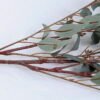 Artificial Plant 32*111CM Eucalyptus spray*7 GS-58920003