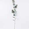 Artificial Plant 13*111CM Eucalyptus spray3 GS-58920006