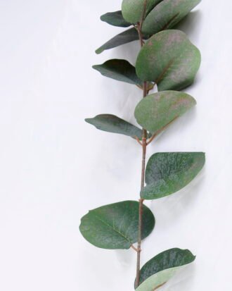 Artificial Plant 13*111CM Eucalyptus spray3 GS-58920006 Leaves&Sprays&Foliages YeahFlower is one of Chinese leading OEM manufacturers and exporters , supplying the silk flowers, wholesale artificial trees Artificial Plant 13*111CM Eucalyptus spray3 GS-58920006