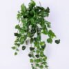 Artificial Plant 48*67CM Evergreen Leaves Hanging GS-37120031