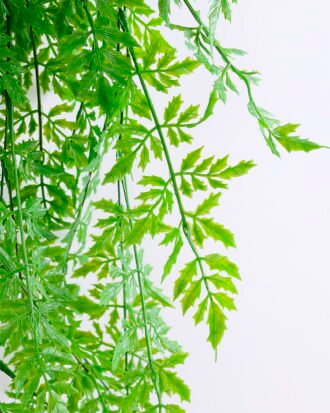 Artificial Plant 38*111CM Fern Hanging*5 GS-48420006 Leaves&Sprays&Foliages YeahFlower is one of Chinese leading OEM manufacturers and exporters , supplying the silk flowers, wholesale artificial trees Artificial Plant 38*111CM Fern Hanging*5 GS-48420006
