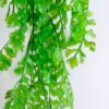 Artificial Plant 37*111CM Fern Hanging*5 GS-48420008