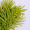 Artificial Plant 20*41CM Fern bush*13 GS-59120004