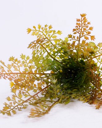 Artificial Plant 27*33CM Fern bush*15 GS-59120014