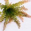 Artificial Plant 27*34CM Fern bush*16 GS-59120013