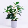 Artificial Plant 23*18*28CM Ficus in the plastic pot GS-05520049 1 Artificial Plant 23*18*28CM Ficus in the plastic pot GS-05520049