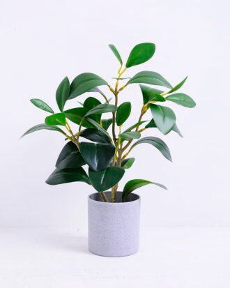Artificial Plant 23*18*28CM Ficus in the plastic pot GS-05520049