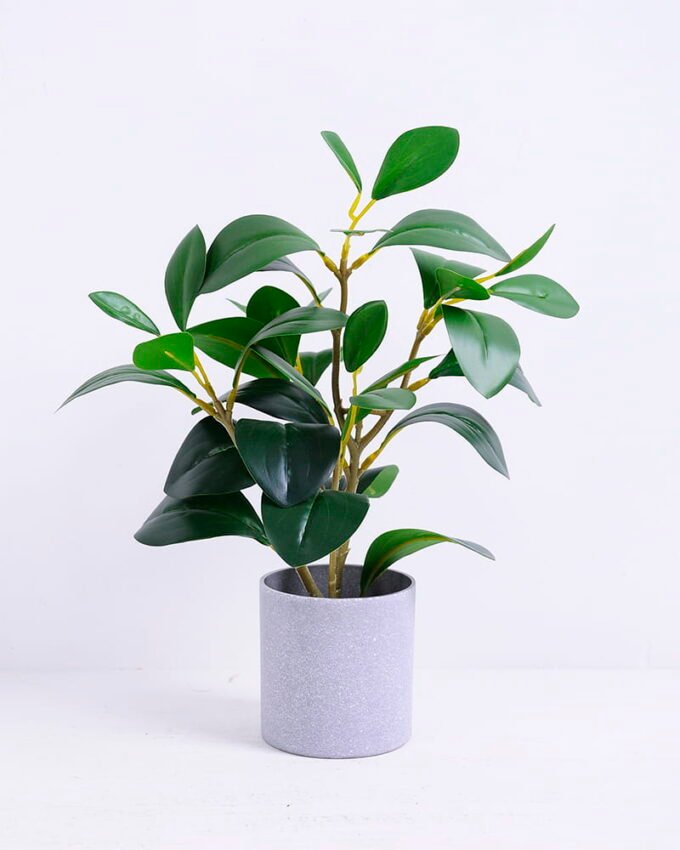 Artificial Plant 23*18*28CM Ficus in the plastic pot GS-05520049 1 Artificial Plant 23*18*28CM Ficus in the plastic pot GS-05520049
