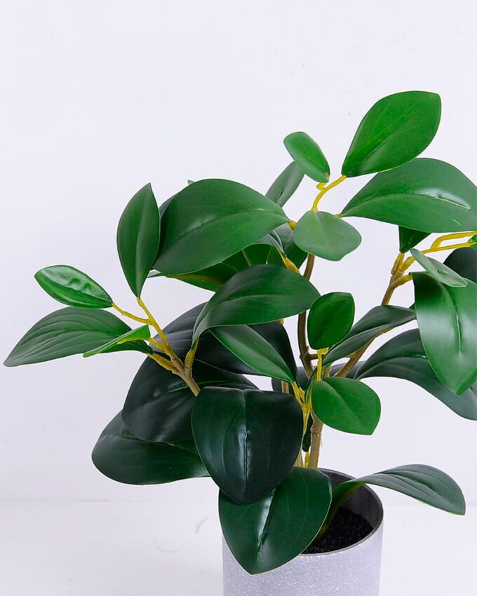 Artificial Plant 23*18*28CM Ficus in the plastic pot GS-05520049 2 Artificial Plant 23*18*28CM Ficus in the plastic pot GS-05520049