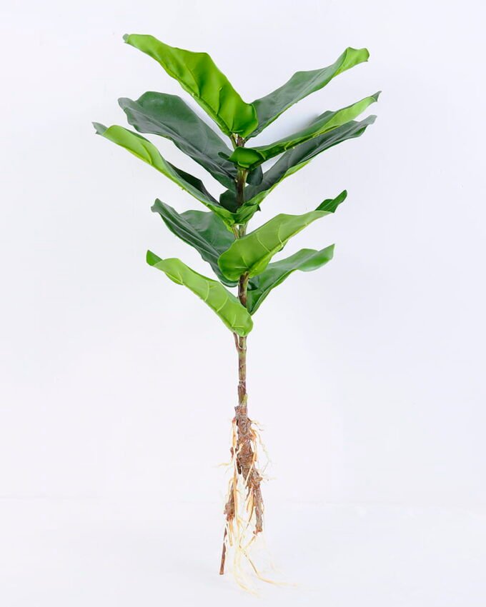Artificial Plant 37*89CM Ficus/lvs10 GS-25820014 1 Artificial Plant 37*89CM Ficus/lvs10 GS-25820014