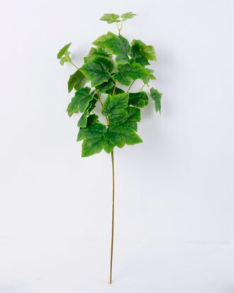 Artificial Plant 28*75CM Grape Leaves Spray/lvs16 GS-25820005 Single Flowers YeahFlower is one of Chinese leading OEM manufacturers and exporters , supplying the silk flowers, wholesale artificial trees Artificial Plant 28*75CM Grape Leaves Spray/lvs16 GS-25820005