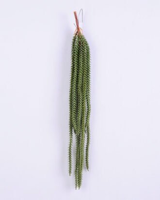 Artificial Plant 16*58CM Grass Bush*12 GS-59120040