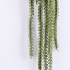 Artificial Plant 16*58CM Grass Bush*12 GS-59120040