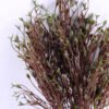 Artificial Plant 17*37CM Grass Bush*7 GS-59120041