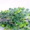 Artificial Plant 16*69CM Korean Pine Spray*5 GS-48420022