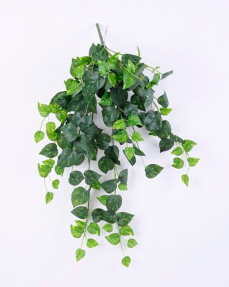 Artificial Plant 47*71CM Scindapsus Aureus Hanging GS-37120005 Banners&Garlands YeahFlower is one of Chinese leading OEM manufacturers and exporters , supplying the silk flowers, wholesale artificial trees Artificial Plant 47*71CM Scindapsus Aureus Hanging GS-37120005