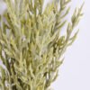 Artificial Plant 16*47CM Succlent Bush*9 GS-59120003-G2