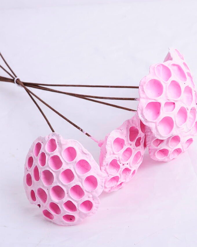 Artificial Plant 24*50CM elumbo mucifera bush*5 GS-56620011