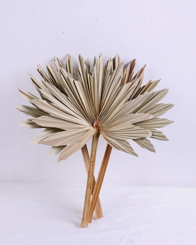 Artificial Plant 31*45CM palm-leaf fan GS-56620005