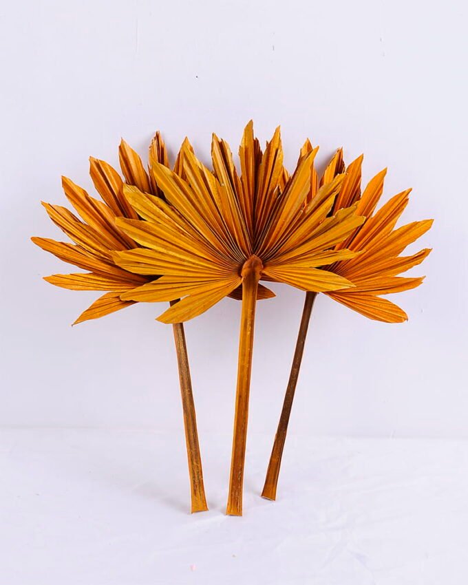 Artificial Plant 31*45CM palm-leaf fan GS-56620006