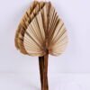 Artificial Plant 27*53CM palm-leaf fan GS-56620010
