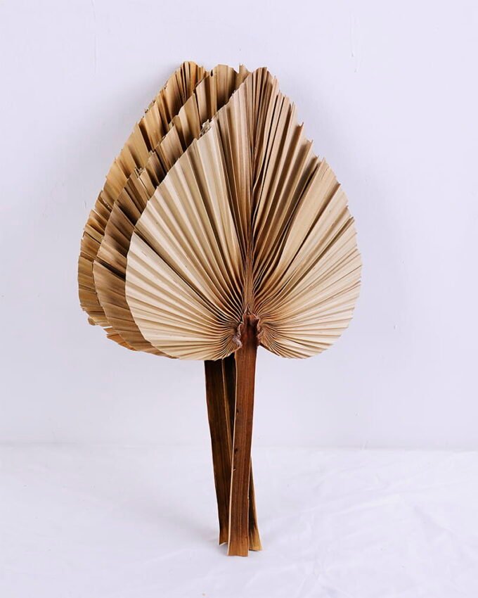 Artificial Plant 27*53CM palm-leaf fan GS-56620010