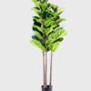 Artificial Tree 180CM Ficus*3 GS-48520006 1 Artificial Tree 180CM Ficus*3 GS-48520006