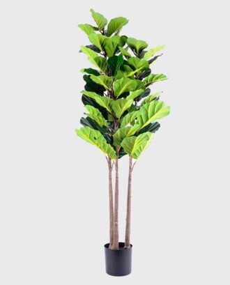 Artificial Tree 180CM Ficus*3 GS-48520006