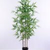 Artificial Tree 74*77*124CM Bamboo tree in the plastic pot/lvs640 GS-30420003 1 Artificial Tree 74*77*124CM Bamboo tree in the plastic pot/lvs640 GS-30420003