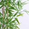 Artificial Tree 74*77*124CM Bamboo tree in the plastic pot/lvs640 GS-30420003 2 Artificial Tree 74*77*124CM Bamboo tree in the plastic pot/lvs640 GS-30420003