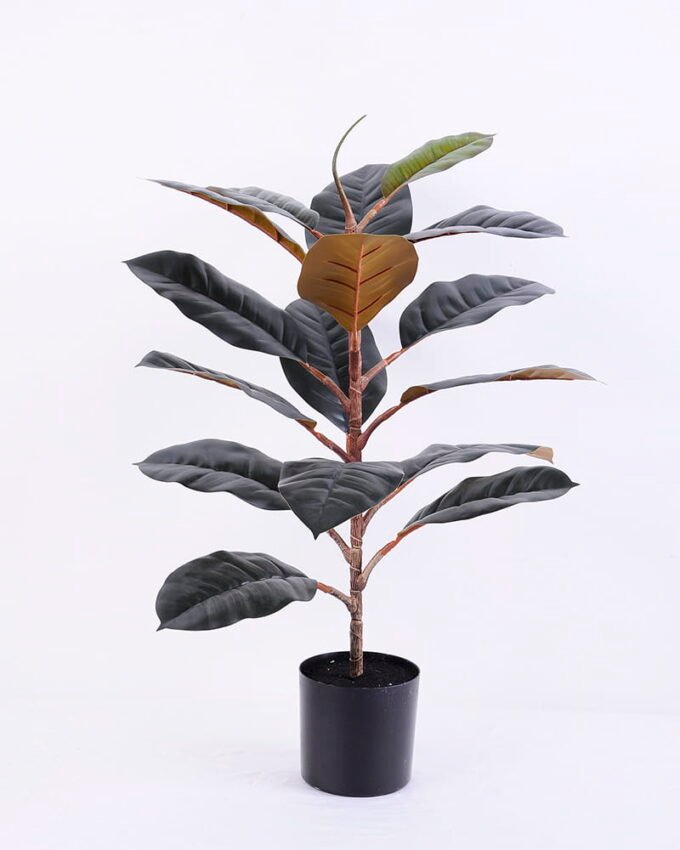 Artificial Tree 48*40*65CM Ficus in plastic pot/lvs16 GS-48520025 1 Artificial Tree 48*40*65CM Ficus in plastic pot/lvs16 GS-48520025
