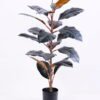 Artificial Tree 47*49*79CM Ficus in plastic pot/lvs20 GS-48520026 1 Artificial Tree 47*49*79CM Ficus in plastic pot/lvs20 GS-48520026