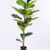 Artificial Tree 53*46*105CM Ficus in plastic pot/lvs24 GS-48520011 1 Artificial Tree 53*46*105CM Ficus in plastic pot/lvs24 GS-48520011