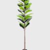 Artificial Tree 50*53*175CM Ficus in plastic pot/lvs28 GS-48520013