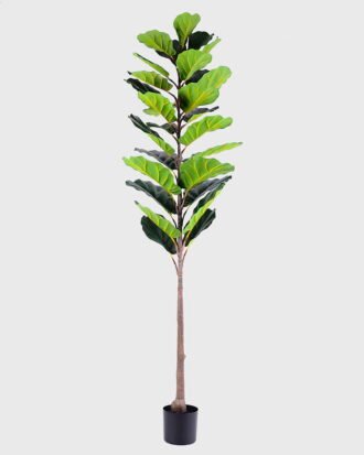 Artificial Tree 50*53*175CM Ficus in plastic pot/lvs28 GS-48520013 Tree&Plant YeahFlower is one of Chinese leading OEM manufacturers and exporters , supplying the silk flowers, wholesale artificial trees Artificial Tree 50*53*175CM Ficus in plastic pot/lvs28 GS-48520013